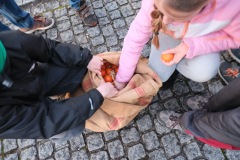 DSCF0489